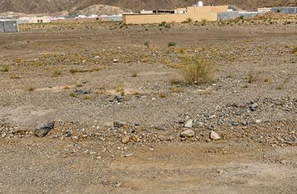 Land - Studio for sale in Khor Fakkan - Sharjah