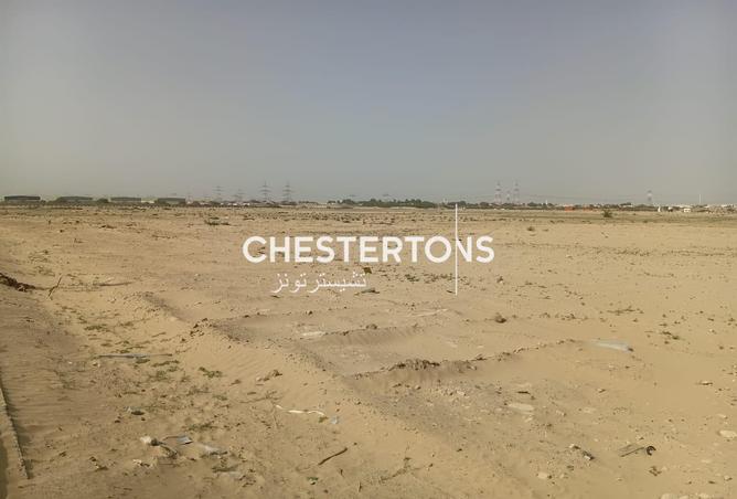 16247203 - Property Image 3