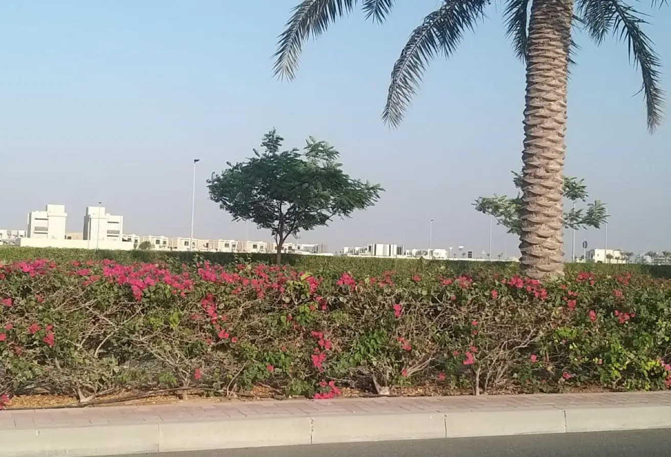 151372526 - الصورة الرئيسية للعقار