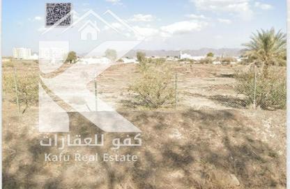 أرض - استوديو للبيع في المنامة - عجمان
