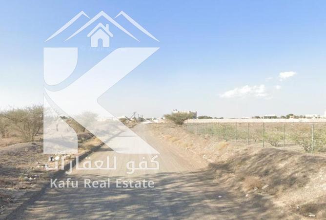87035608 - Property Image 2