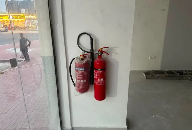 161442499 - Property Image 2