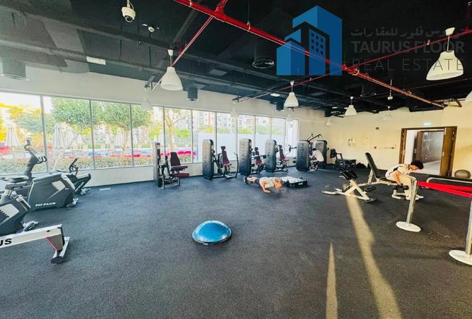 53586494 - Property Image 3