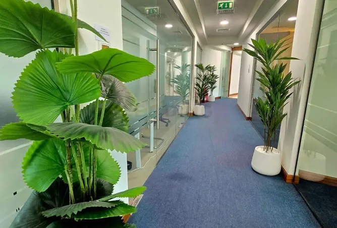 110067764 - Property Image 3