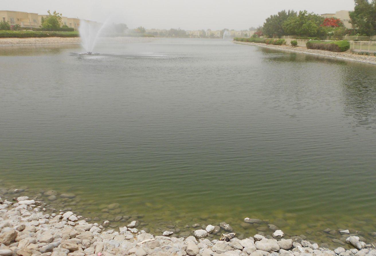 3M TODAY DEAL BACK TO B CLOSE LAKE 3B/R+STUDY 175K photo 12