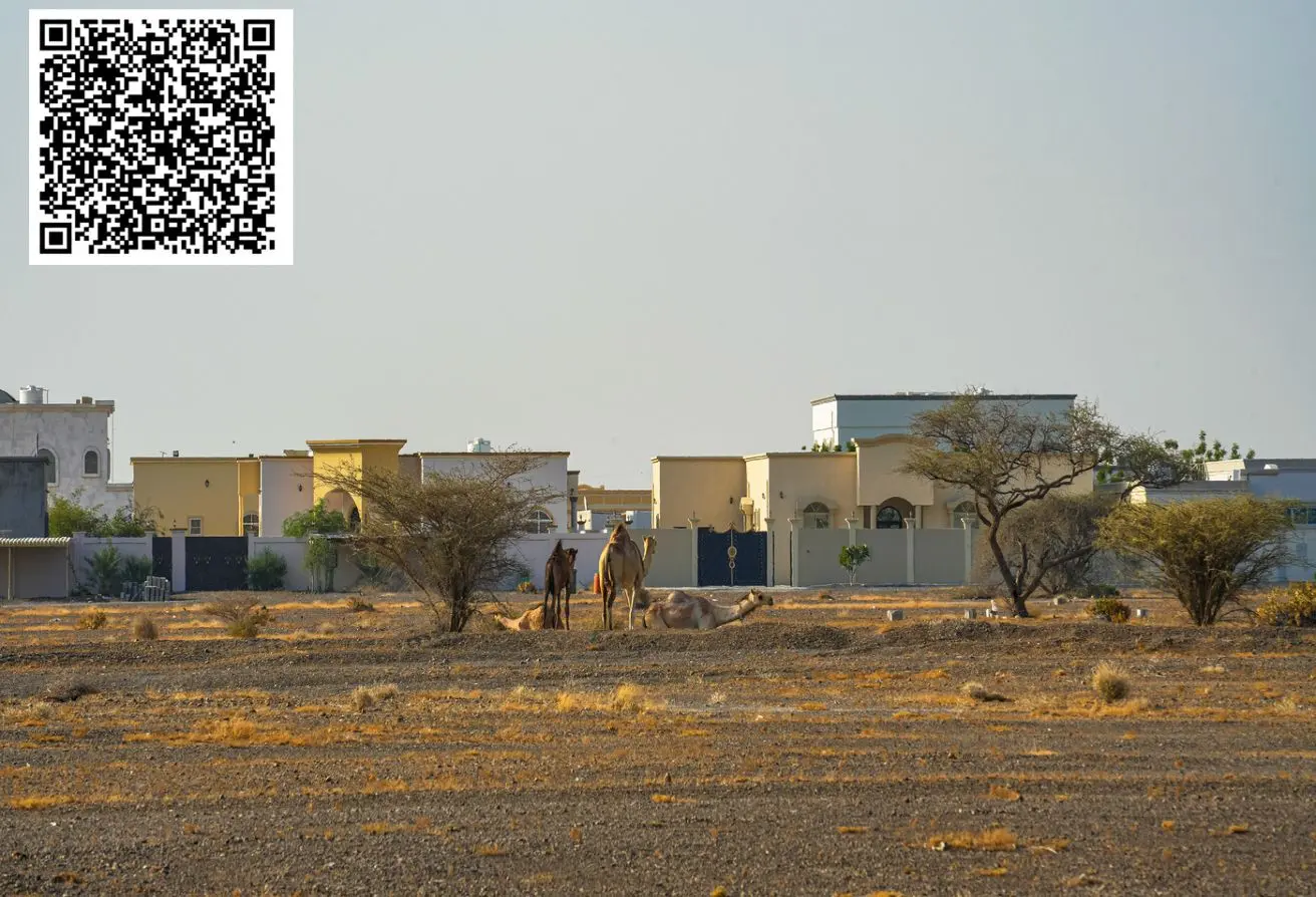 159606611 - Property Main Image