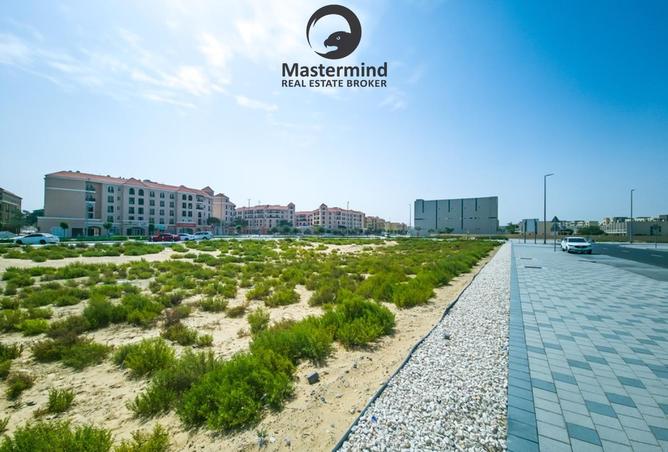 16014476 - صورة العقار 3