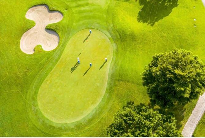 61677243 - Property Image 3