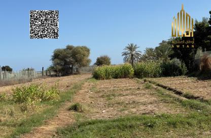 Farm - Studio for sale in Fujairah Beach - Downtown Fujairah - Fujairah