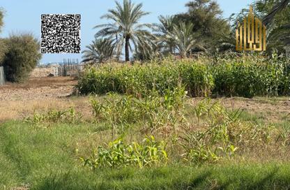 Farm - Studio for sale in Fujairah Beach - Downtown Fujairah - Fujairah