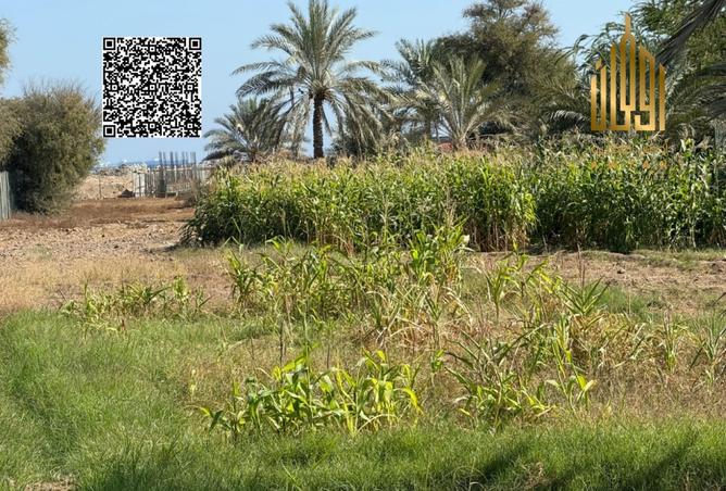 130234310 - Property Image 3