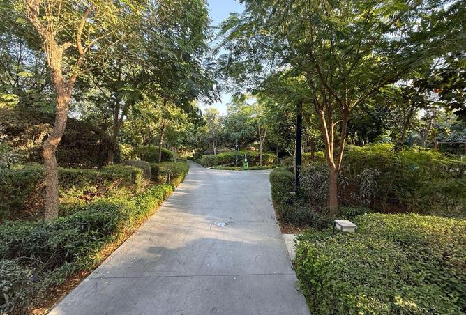 56552004 - Property Image 3