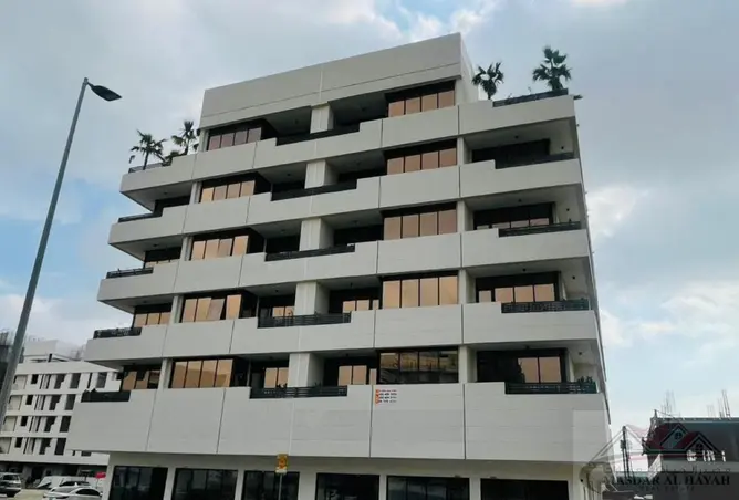 155517457 - Property Image 3