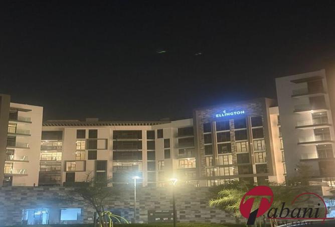 16246434 - Property Image 3