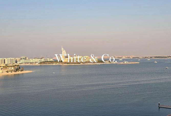 74627575 - صورة العقار 3