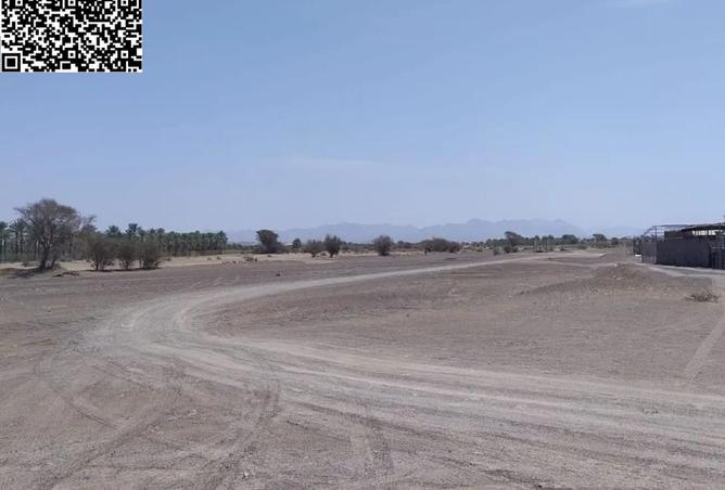 15999391 - صورة العقار 2