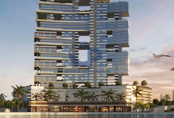 67436789 - صورة العقار 3