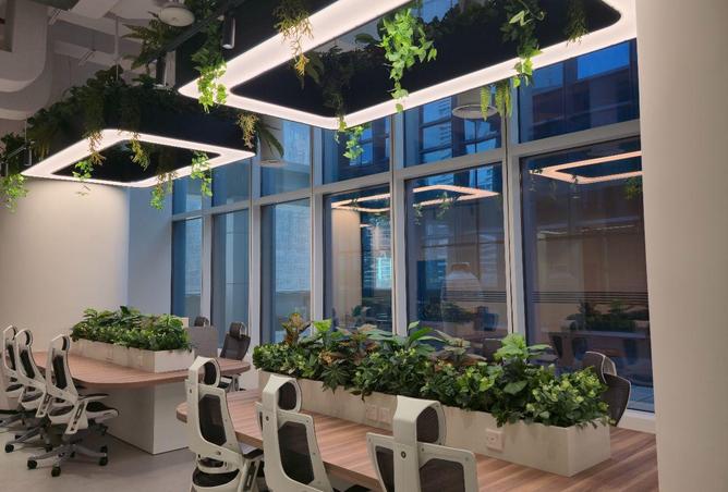 76561894 - صورة العقار 2