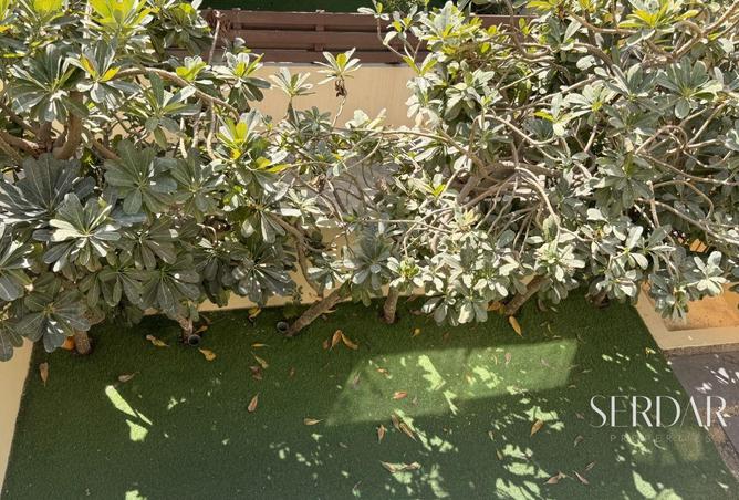 79846325 - Property Image 3