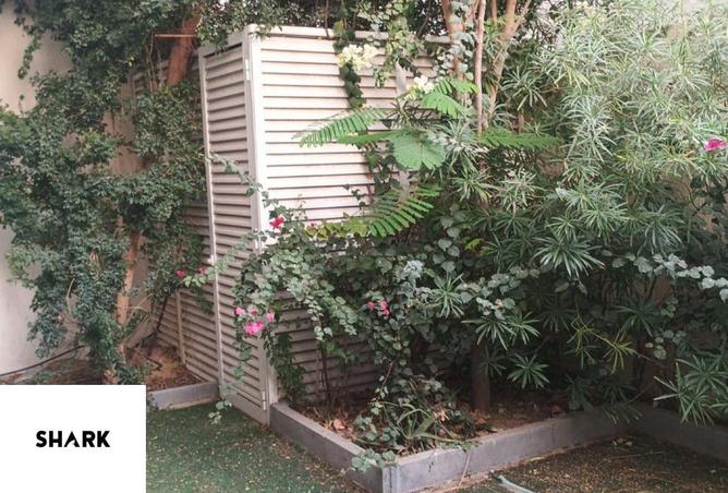 65194598 - صورة العقار 2