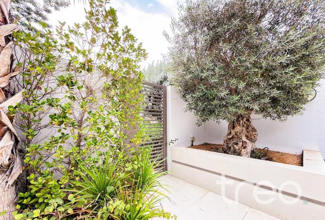 71909831 - Property Image 3