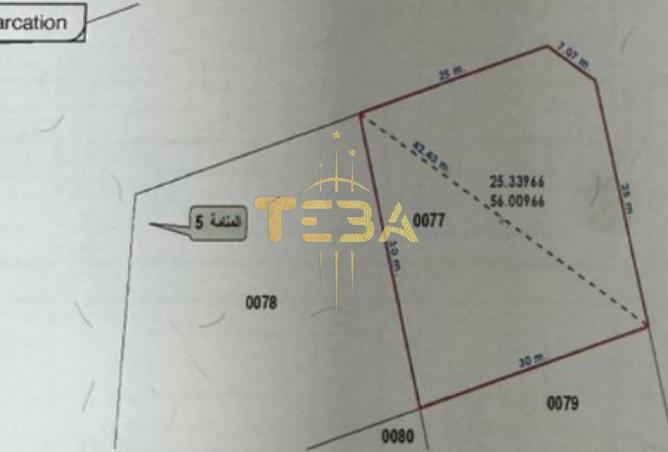 55342515 - Property Image 2