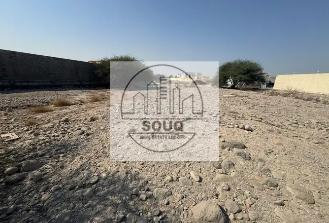 162775195 - Property Image 3