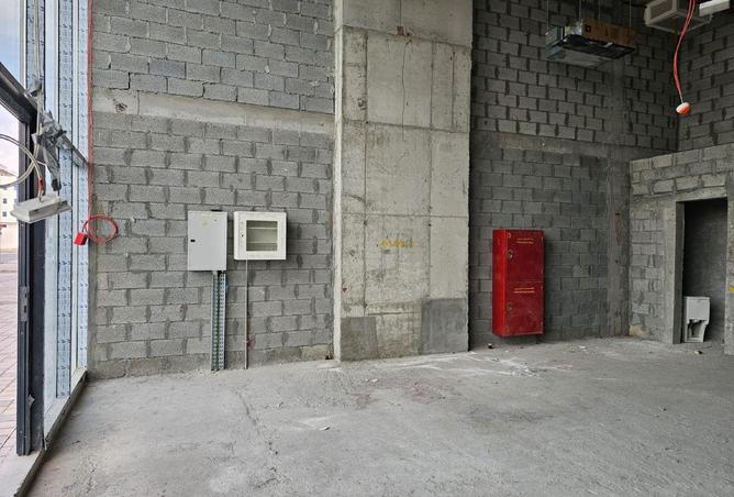 55338535 - Property Image 2