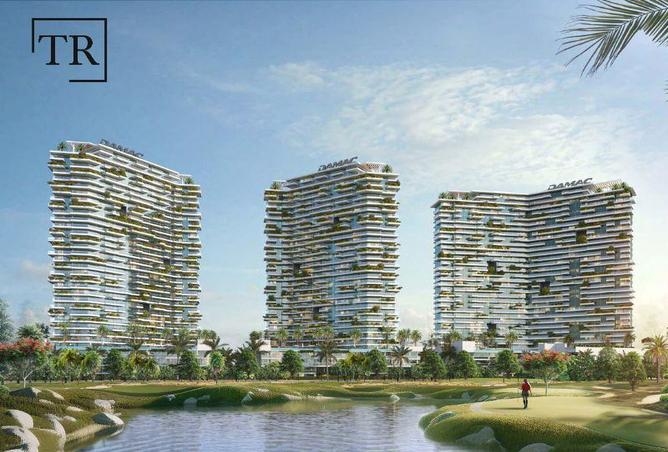 16163343 - Property Image 3