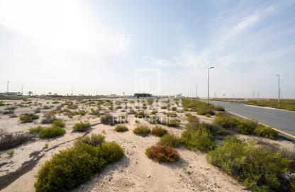 Land - Studio for sale in Saih Shuiab House - Jebel Ali Hills - Saih Shuaib 1 - Jebel Ali - Dubai Land - Studio for sale in Saih Shuiab House - Jebel Ali Hills - Saih Shuaib 1 - Jebel Ali - Dubai