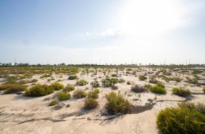 Land - Studio for sale in Saih Shuiab House - Jebel Ali Hills - Saih Shuaib 1 - Jebel Ali - Dubai Land - Studio for sale in Saih Shuiab House - Jebel Ali Hills - Saih Shuaib 1 - Jebel Ali - Dubai