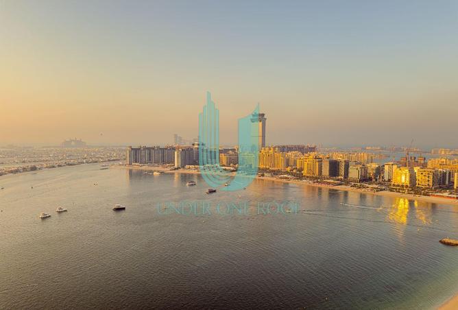 79850033 - صورة العقار 2