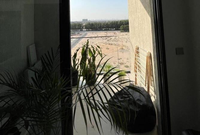 16300248 - Property Image 3