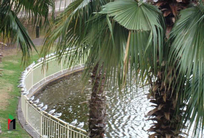 Chiller free| Well maintained | Vacant photo 3