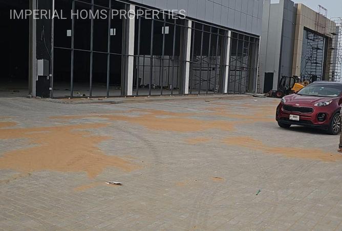 81109010 - Property Image 3