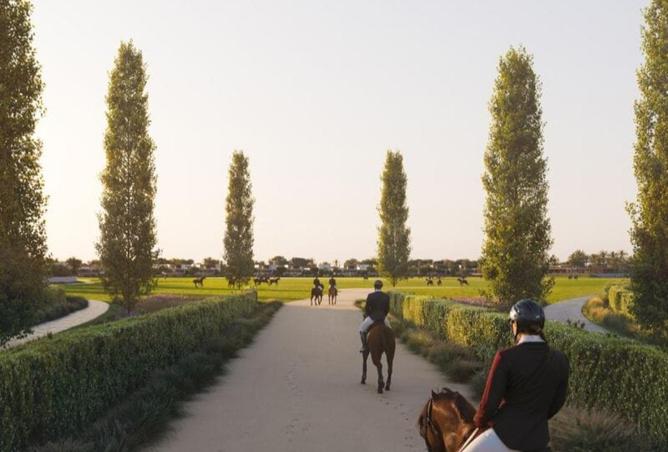 67435672 - Property Image 2