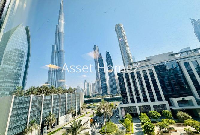 16034641 - Property Image 3