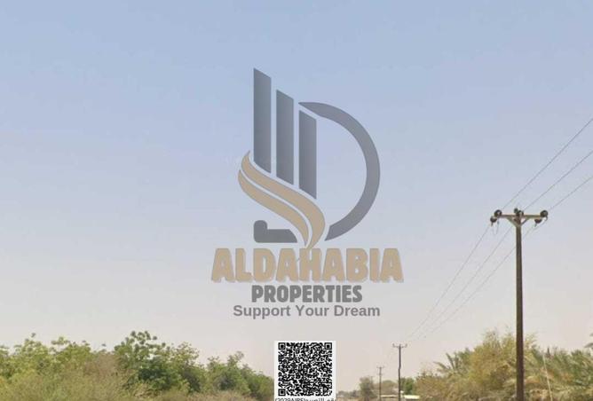 16252185 - Property Image 2