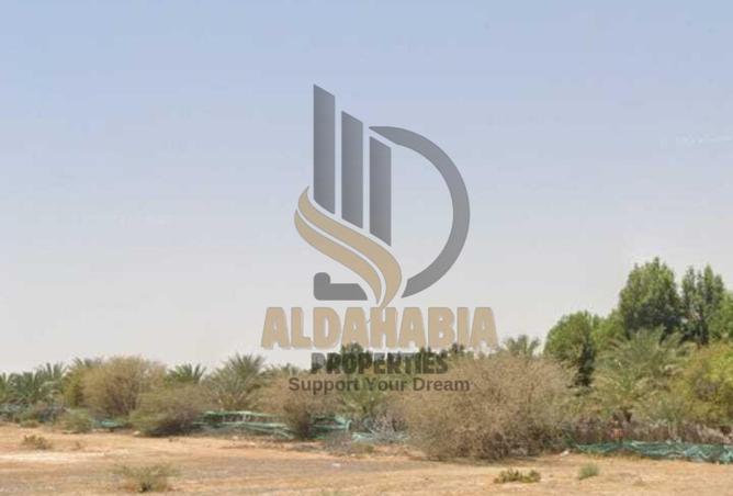 16252185 - Property Image 3