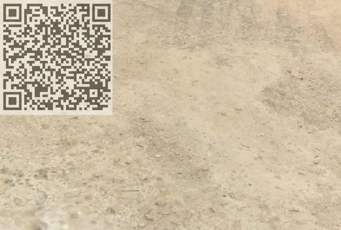 148661288 - Property Image 3
