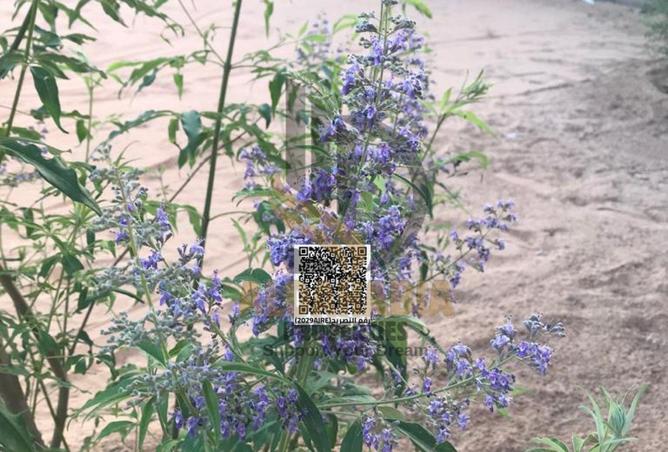 16136027 - صورة العقار 2