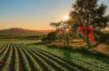 Farm - Studio for sale in Remah - Al Ain