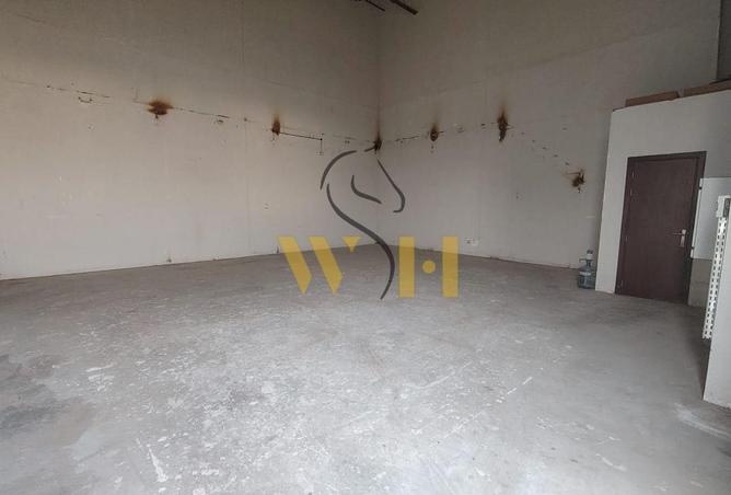 116826128 - Property Image 2