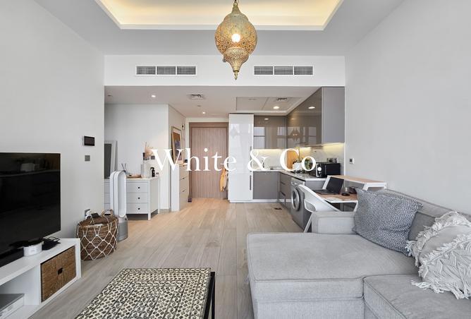 117251542 - Property Image 3