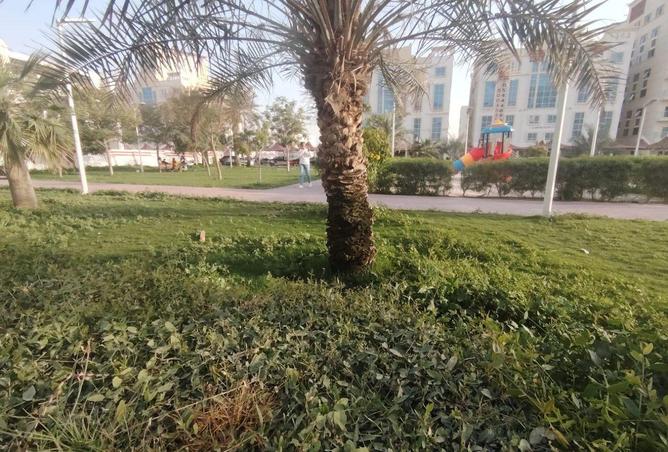 70695902 - صورة العقار 2