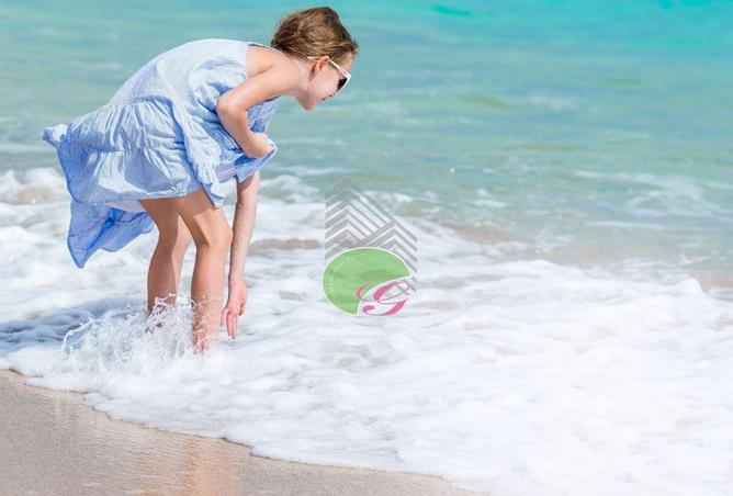 16037903 - Property Image 3