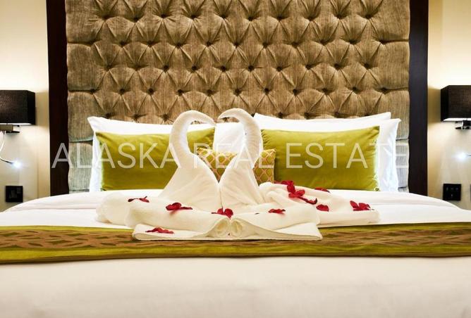 58166792 - صورة العقار 2