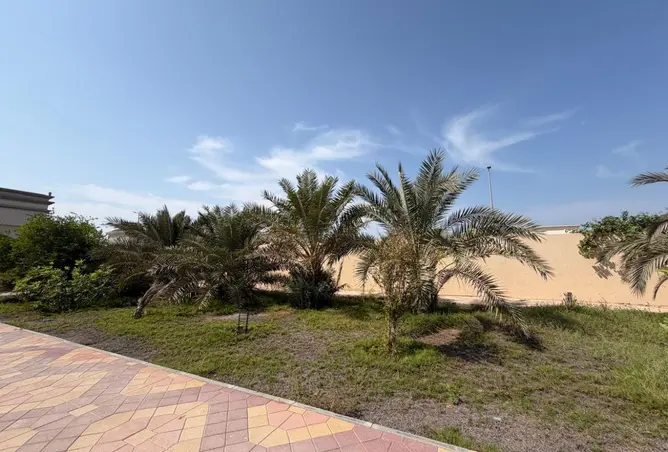 163252956 - صورة العقار 3