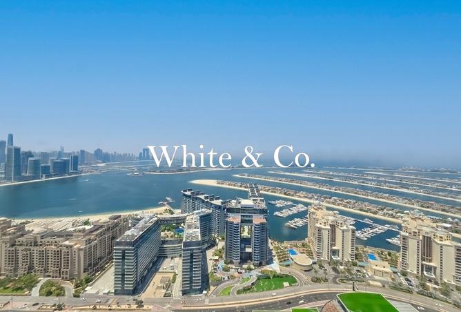 131564418 - Property Image 2