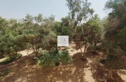 شقة - غرفة نوم - 1 حمام للايجار في مباني الحدائق - الحدائق - دبي